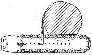 ������ ���� �������. ����� ���.